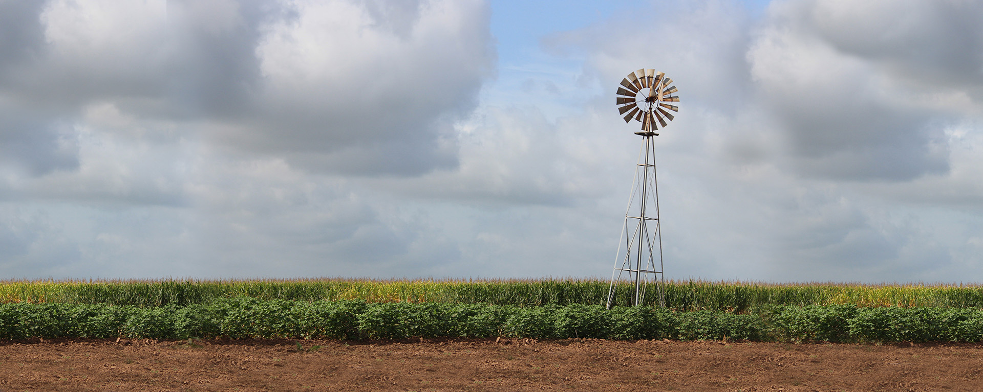 Post Oak Savannah GCD