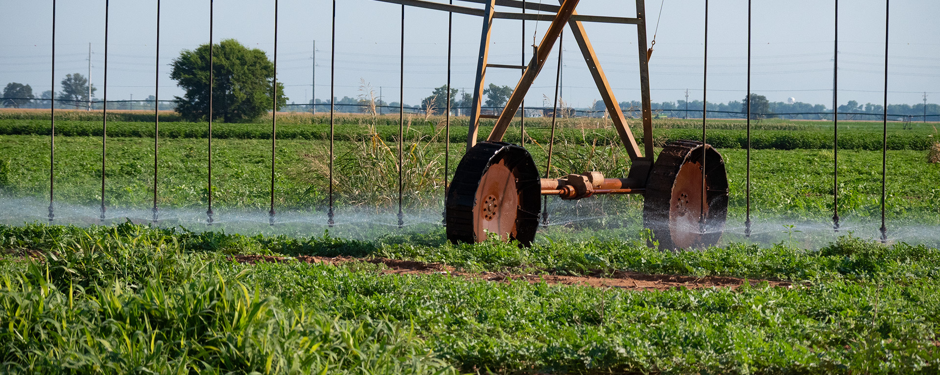 Post Oak Savannah GCD