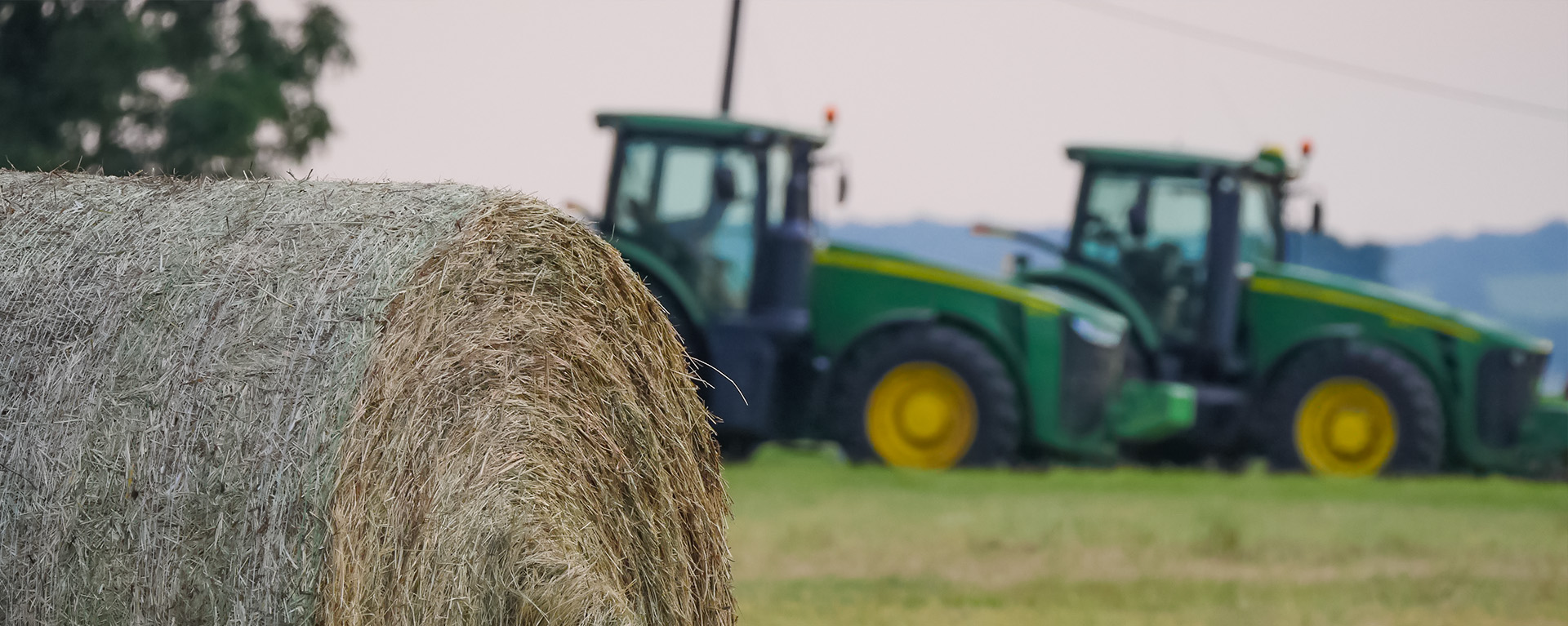 Post Oak Savannah GCD
